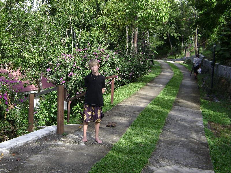 Library - 4945.jpg - Walkway to our villa
